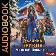 Постер книги Хозяйка приюта. Чудо под Новый год