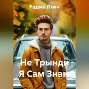 Постер книги Не Трынди Я Сам Знаю
