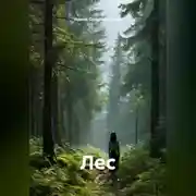 Постер книги Лес