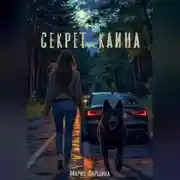 Постер книги Секрет Каина