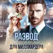 Постер книги Развод. Проблема для миллиардера