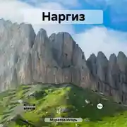 Постер книги Наргиз