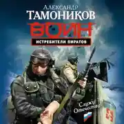 Постер книги Истребители пиратов