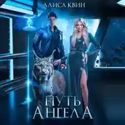 Постер книги Путь ангела