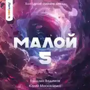 Постер книги Малой 4