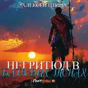 Постер книги Негритюд в багровых тонах