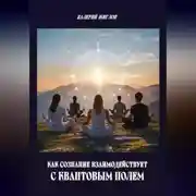 Постер книги Как сознание взаимодействует с квантовым полем