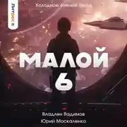 Постер книги Малой 6