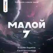 Постер книги Малой 7