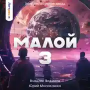 Постер книги Малой 3