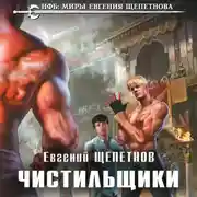 Постер книги Чистильщики