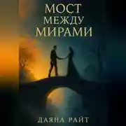 Постер книги Мост между мирами