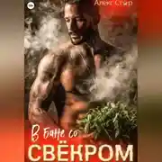 Постер книги В бане со свёкром