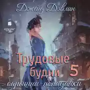 Постер книги Трудовые будни барышни-попаданки 5