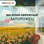 Постер книги Запорожец