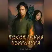 Постер книги Похождения Цзиньлуна. Часть 2. Удержать свет