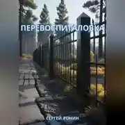Постер книги Перевоспиталовка
