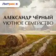 Постер книги Уютное семейство