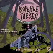 Постер книги Воронье гнездо 2. Призрачный зов