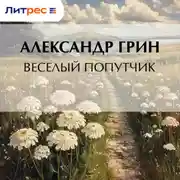 Постер книги Весёлый попутчик