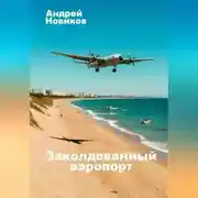 Постер книги Заколдованный аэропорт