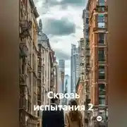 Постер книги Сквозь испытания 2