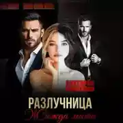 Постер книги Разлучница. Жажда мести