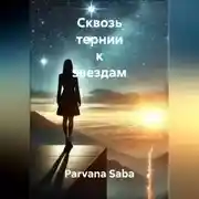 Постер книги Сквозь тернии к звездам