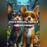 Постер книги Изи и Николь. Тайна в летнем лагере
