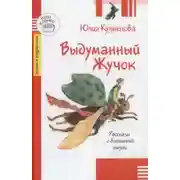 Постер книги Выдуманный жучок