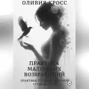 Постер книги Практика маленьких возвращений