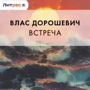 Постер книги Встреча