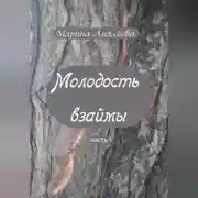 Постер книги Молодость взаймы