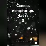 Постер книги Сквозь испытания 3