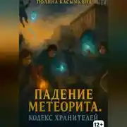 Постер книги Падение метеорита. Кодекс хранителей.