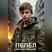 Постер книги Пепел