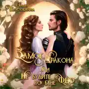 Постер книги Замок дракона, или Не будите во мне фею