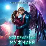Постер книги Мой крылатый мужчина