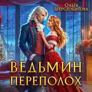 Постер книги Ведьмин переполох