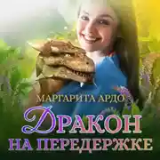 Постер книги Дракон на передержке