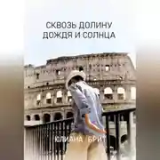 Постер книги Сквозь долину дождя и солнца