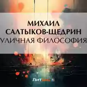 Постер книги Уличная философия