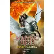 Постер книги Меч Лета