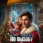 Постер книги Дед Мороз по вызову