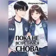 Постер книги Пока не встретимся снова
