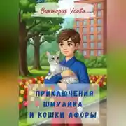Постер книги Приключения Шмулика и кошки Афоры