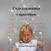 Постер книги Соло для веника с оркестром