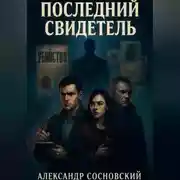 Постер книги Последний свидетель