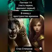 Постер книги пантера: 1-6 (часть первая, фрагмент первый) В плену у пространства-времени