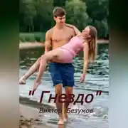 Постер книги Гнездо